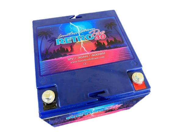 An image of a blue Limitless Lithium Retro Pro 30 with a palm tree on it.