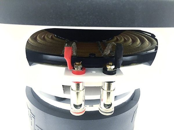 A close up of a Resilient Sounds Gold 12 speaker with red and black wires.