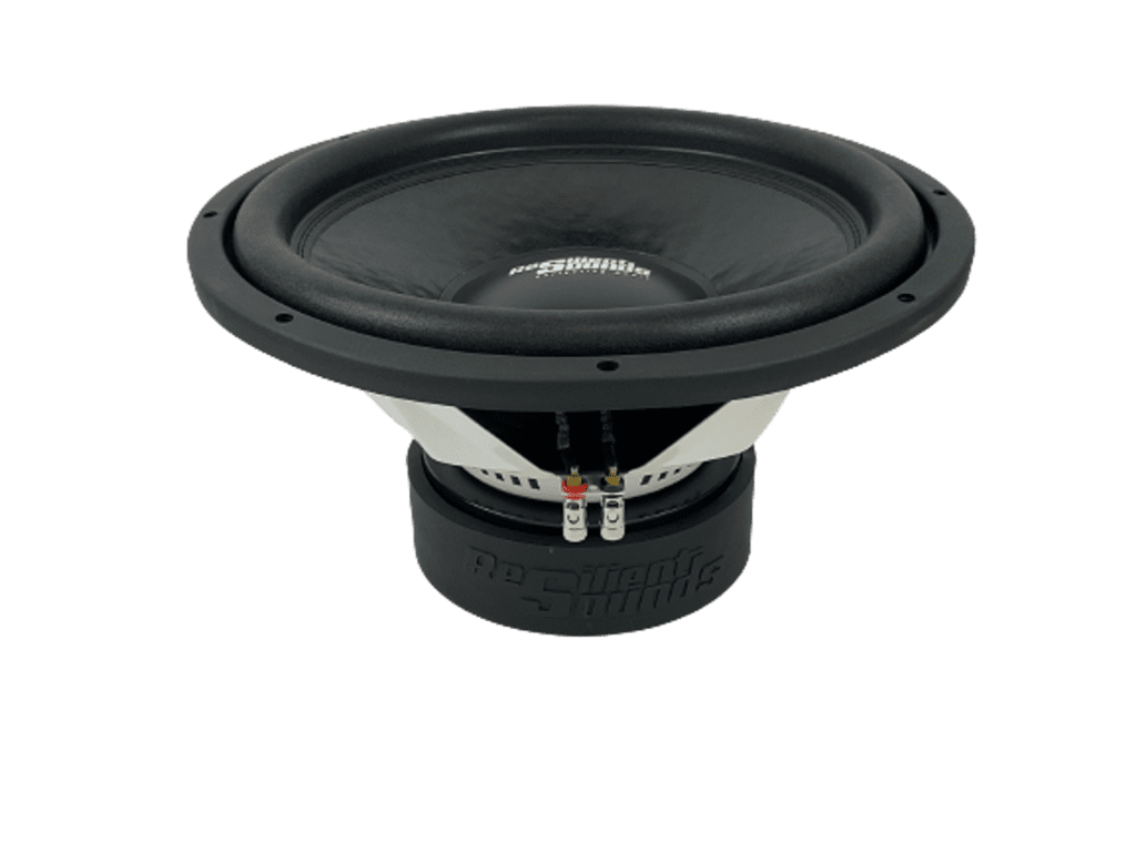 A Resilient Sounds RS 15" V2 subwoofer on a white background.