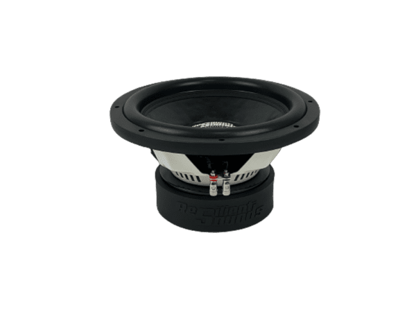 A Resilient Sounds RS 12" V2 subwoofer on a white background.