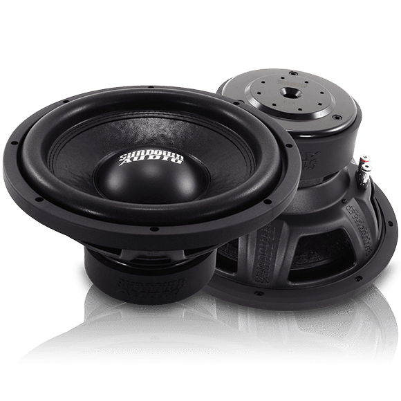 A pair of E Series v.4 12" D2 (500-watts) subwoofers on a white background.