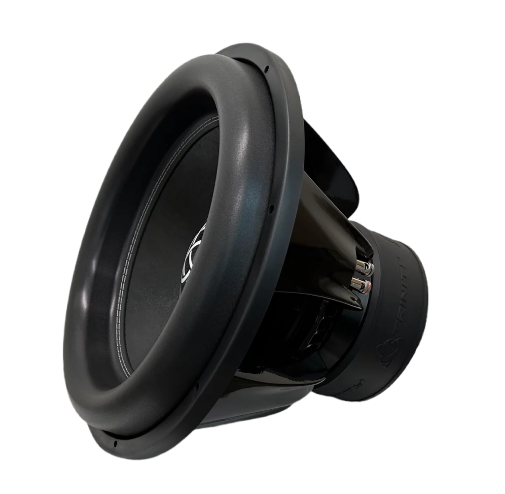 A Trinity Audio Solutions H Series 18" Subwoofer D1 on a black background.