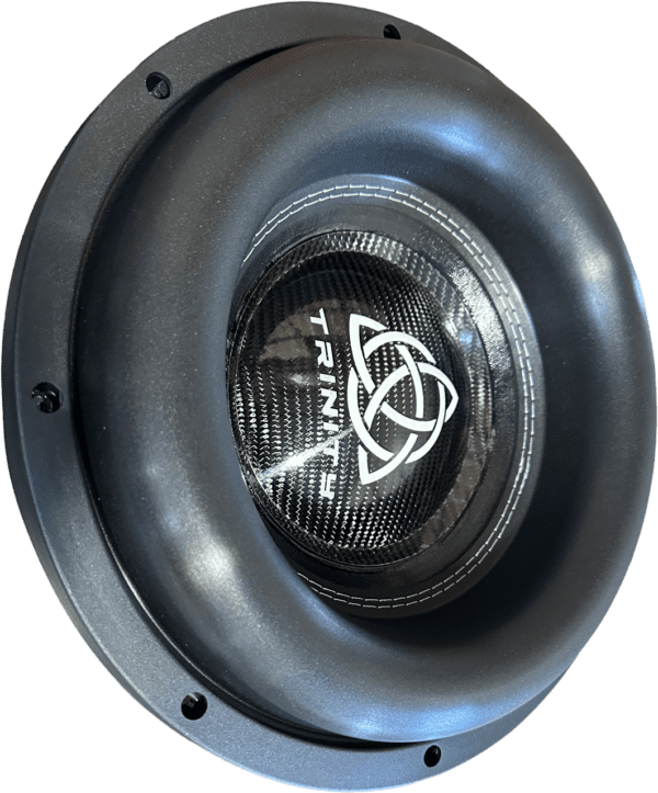 A black Trinity Audio Solutions H Series 12" Subwoofer D1 with a logo on it.